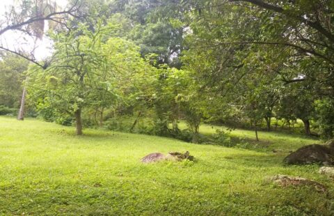 Venta de Lote sopetran